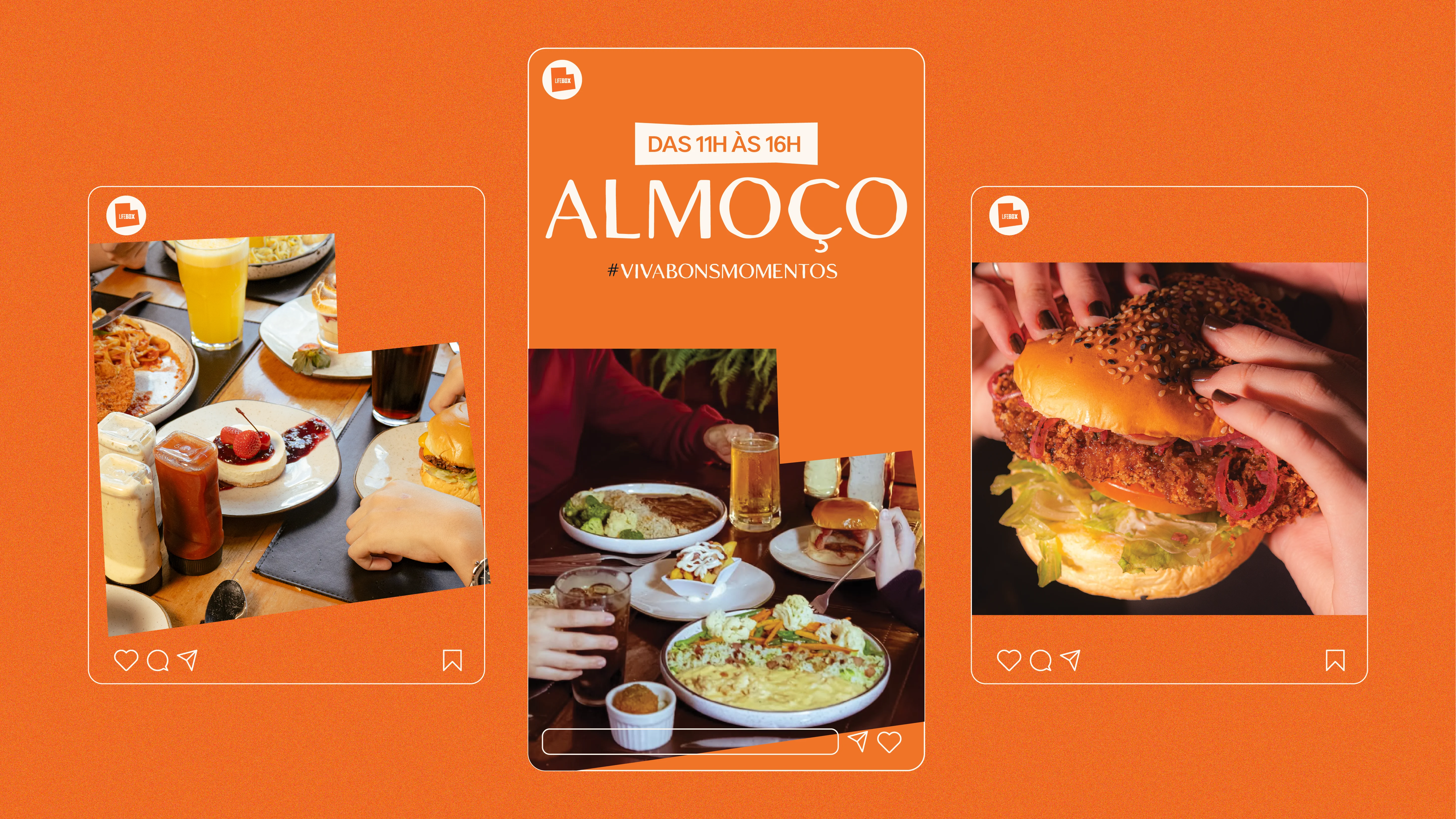 LIFEBOX — imagem 8